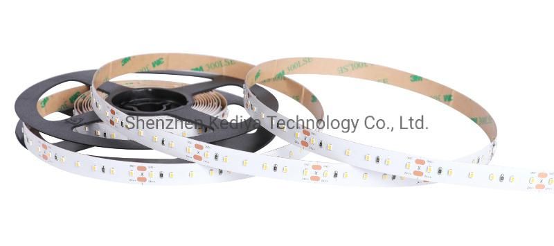 LED CRI95 SMD 2216 LED Light Strip 120 LEDs Per Meter DC12V DC24V IP20 Lighting