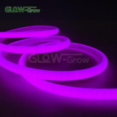 360 Degree SMD 2835 LED Neon Flex Light Rope Light for Window Decoration