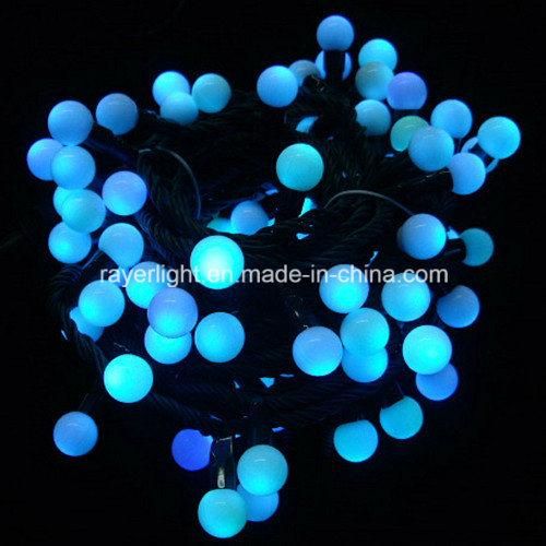 LED Color Changing Light LED Outdoor Decoration with Controller Intelligent Decorative Light