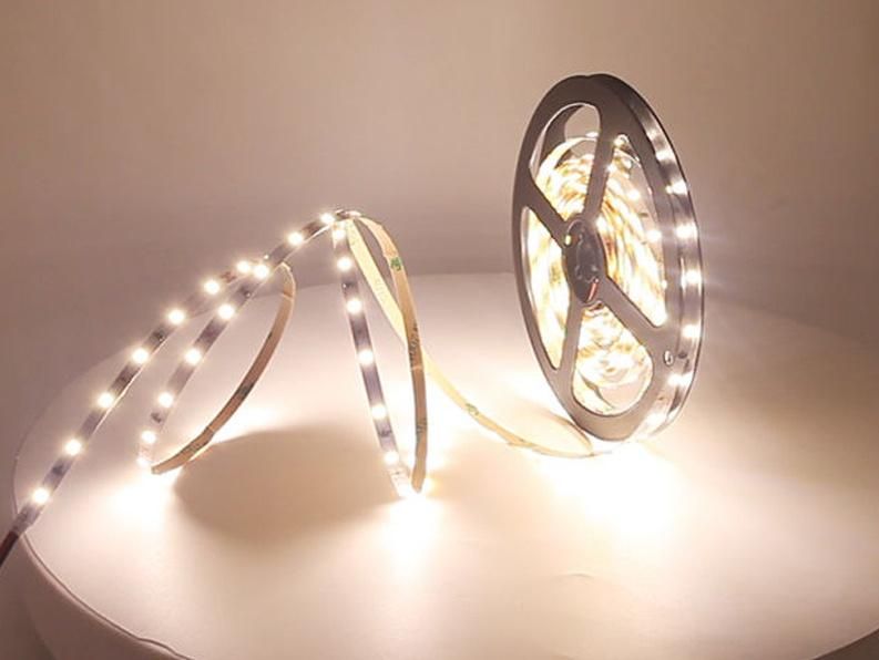 3 Years Warranty 12W SMD2835 LED Flexible Strip