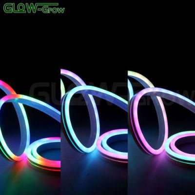 Indoor Outdoor Use 24V LED Dream Neon Flex Rope Light for Bar Decoration