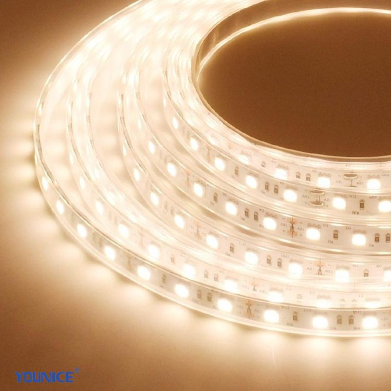 IP67 Withstand High Temperature and High Humidity LED Flexible Strip