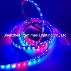 5 Years Warranty Manufacture LED Pixel Digital Ws2813 Addressable Flexible LED Strip Light RGB Christmas Decoration LED Lighting