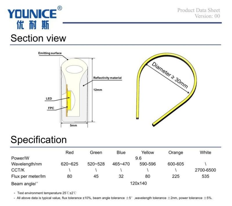 R/G/B/Y/O/W/W DC24V Size 5*12mm Side Bending LED Flexible Neon Rope Strip