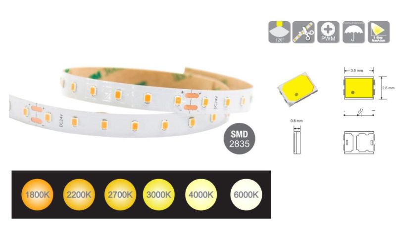 IC-Bulit-in 80 LEDs/M SMD2835 LED Light Strip for Decorative LED Lighting