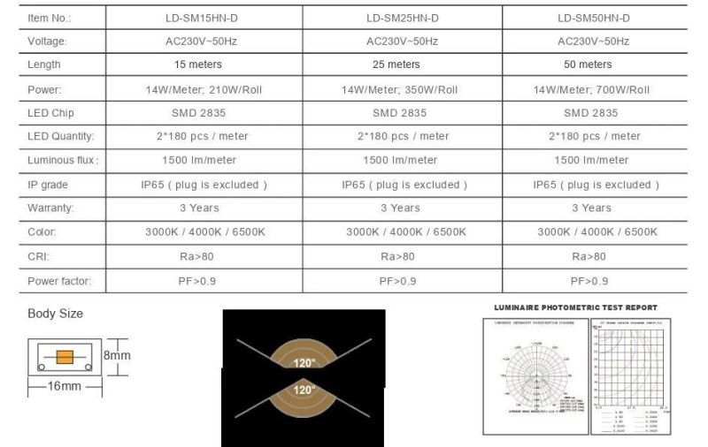 220V/100V CE RoHS Dual Side View 360LED/M LED Rope Light for Advertisement Sign Lighting