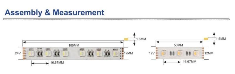 IP20 RGBW 4 in 1 Chips SMD Flexible LED Strip