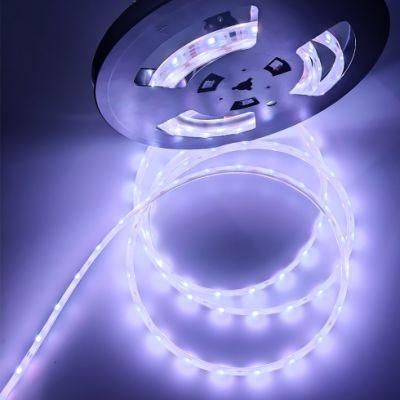 Sk 6812 LED Strip Light