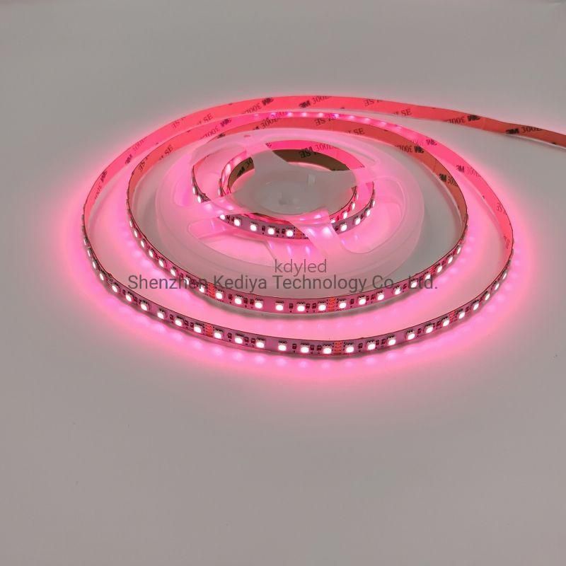 New Design 2500-3000mcd LED Strips and High Quality 24V SMD 3838 120LEDs RGB Flexible LED Strip