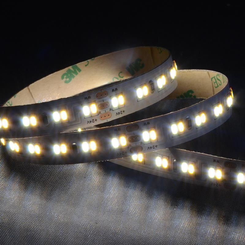 North America market 5days delivery time SMD 3014 224LEDs/m CCT Adjustable LED Strip Lights