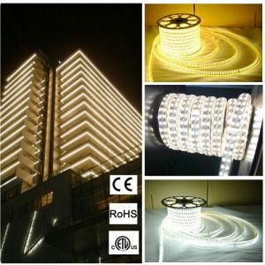 5630 120 LEDs/M LED Tape Strip for Holiday Decoration