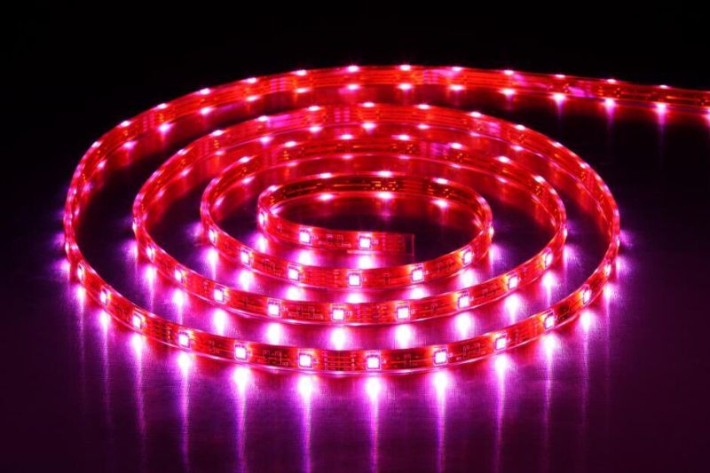 5050 RGB 14.4W 24V 60LEDs IP20 LED Strip Light RGB