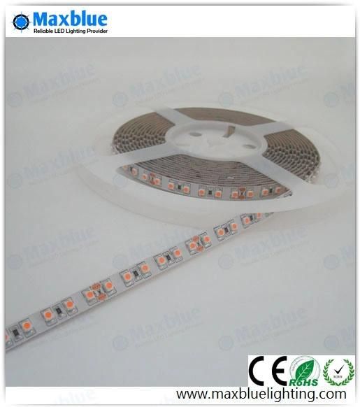 Interior Lighting DC12/24V 9.6W SMD LED Strip Light