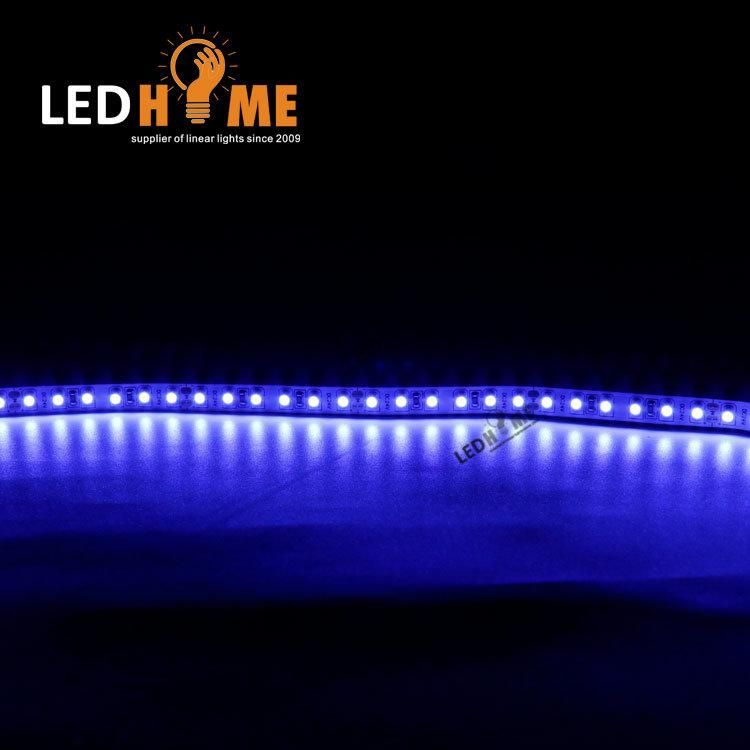 Blue SMD Strip LED Lighting 120LEDs Strip Lighting