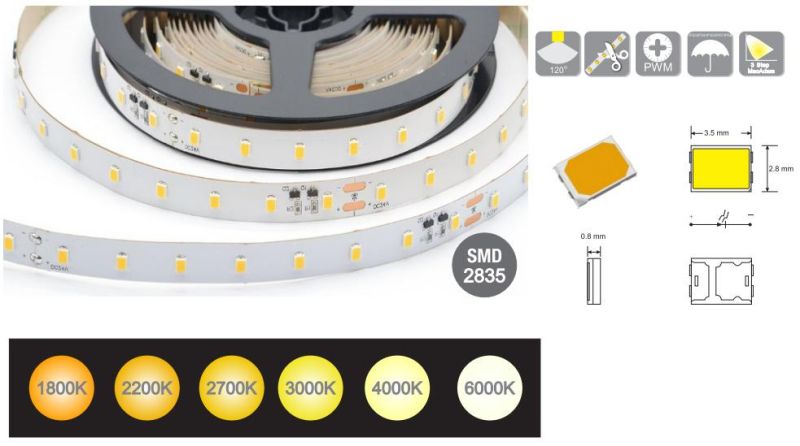 High Lumen SMD2835 LED Lighting Strip Wih Ce & RoHS LED Light