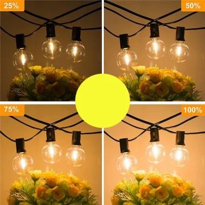 String Light Outdoor Waterproof LED Festoon Lighting