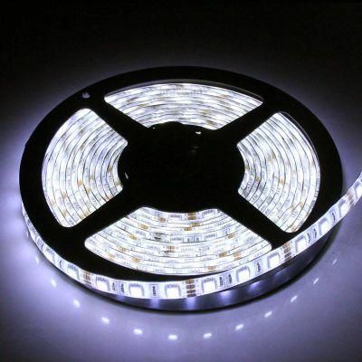 12V/24V LED Flexible Strip 2835 SMD Waterproof 12 Watt for Decoration Lighting