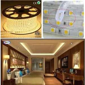 SMD5050 50m/Roll 220V LED Flexible Ceiling Lights