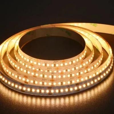 SMD2216 Ultra Brightness High Efficiency Flexible LED Strip Light