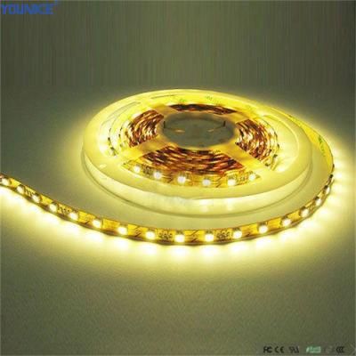 DC24V 8mm Width 62.5mm Cut LED Flexible Rope Light Strip