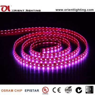 UL Ce 24VDC Waterproof SMD5050 RGB LED Strip Light