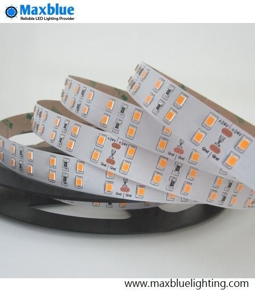 DC24V CRI90 2835 144LEDs/M SMD Flexible LED Ribbon