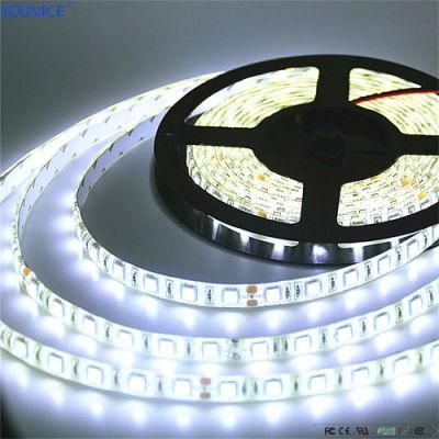 DC24V 100mm Cut 8mm Width 6W/M LED Flexible Strip