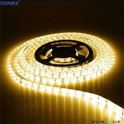 DC24V 62.5mm Cut Unit 8mm Width LED Flexible Rope Light Strip