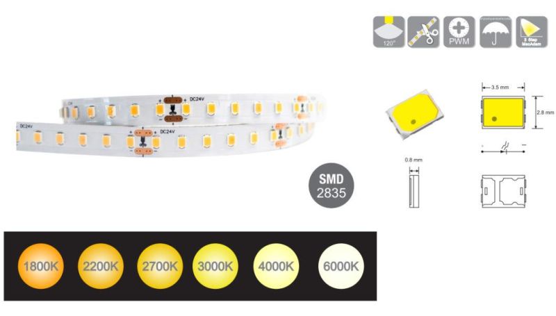   SMD2835 120 LEDs/M IC-Built-in LED Light Strip for Decorative LED Lighting