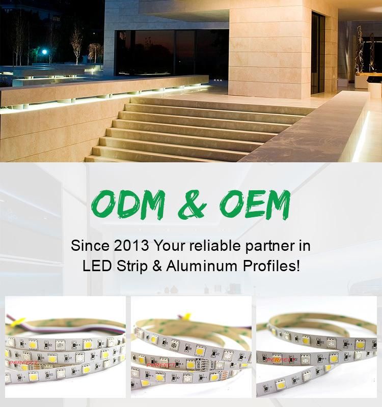 CE&RoHS Certificated LED Strip RGB+CCT LED Flexible Strip Light 12V/24V LED Linear Lighting