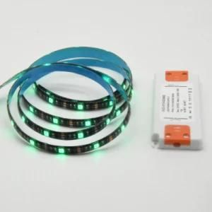 LED Strip Lamp with AC 110V 220V Slim Power Supply