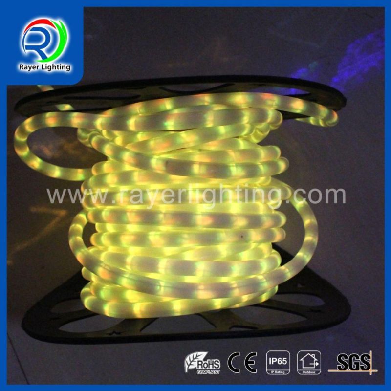 Outdoor Decoration Colorful Lights Festical Light LED Rope Lights