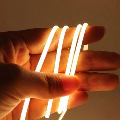 China CE Approved Alva / OEM 220V COB Strip Rope Light