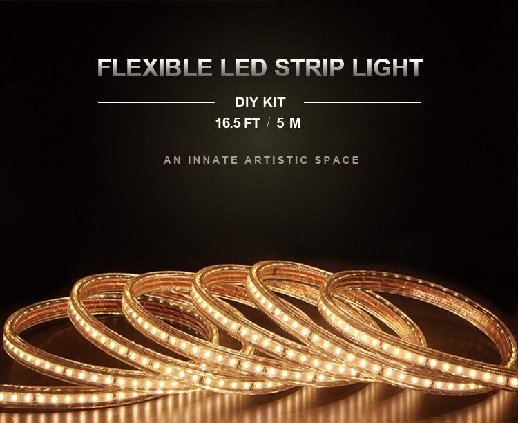 Christmas Decorative Light Flexible LED Strip SMD 2835 120LED 5 Meters Pack in Blister Connectable up to 50 Meters ETL Cert outdoor Used