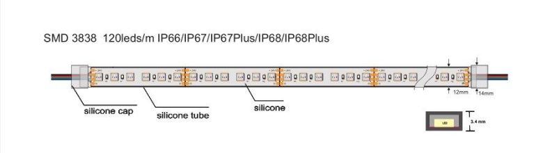 SMD3838 with 120LEDs IP67/IP66 RGB Strip