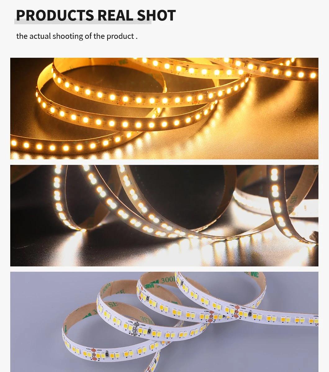 High Lumen CCT Changing Color SMD2835 LED Strips 240LEDs/M