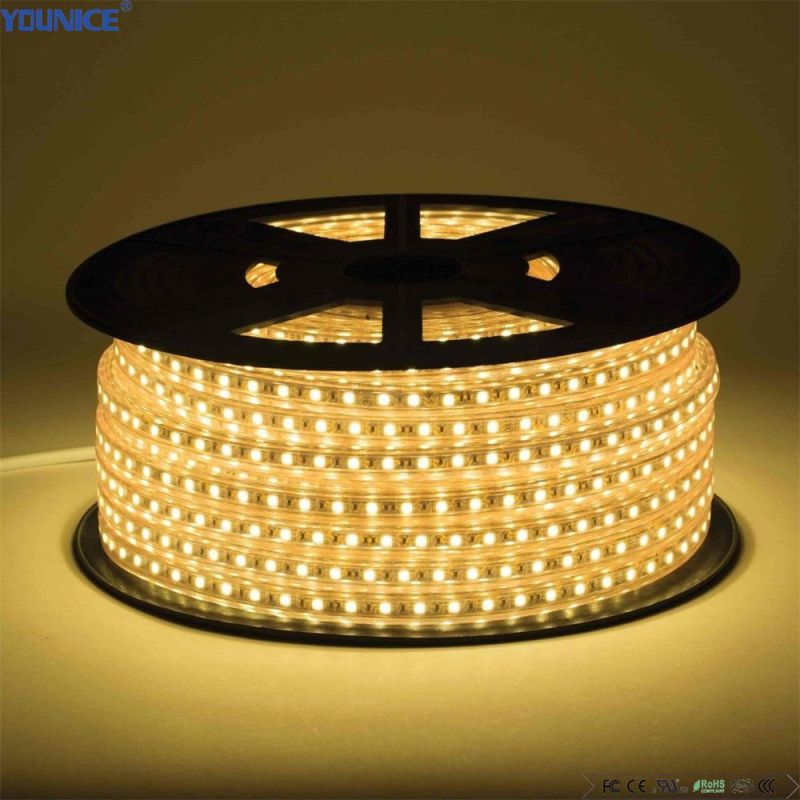 5m Per Roll 10mm Width SMD3838 RGB Strip DC24V 120LEDs/M LED Tape Light Flexible Strip