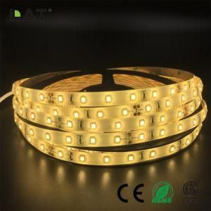 High Brightness DC12V 24V IP20 IP65 SMD2835 Ww Cw 10m 60LEDs Flexible LED Strip Tape Ce ETL UL