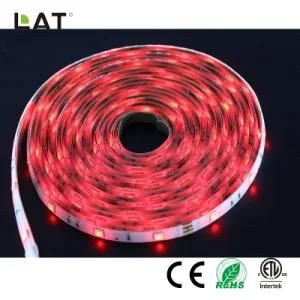 DC12V IP65 SMD5050 1m Red 30LEDs Flexible LED Strip Light