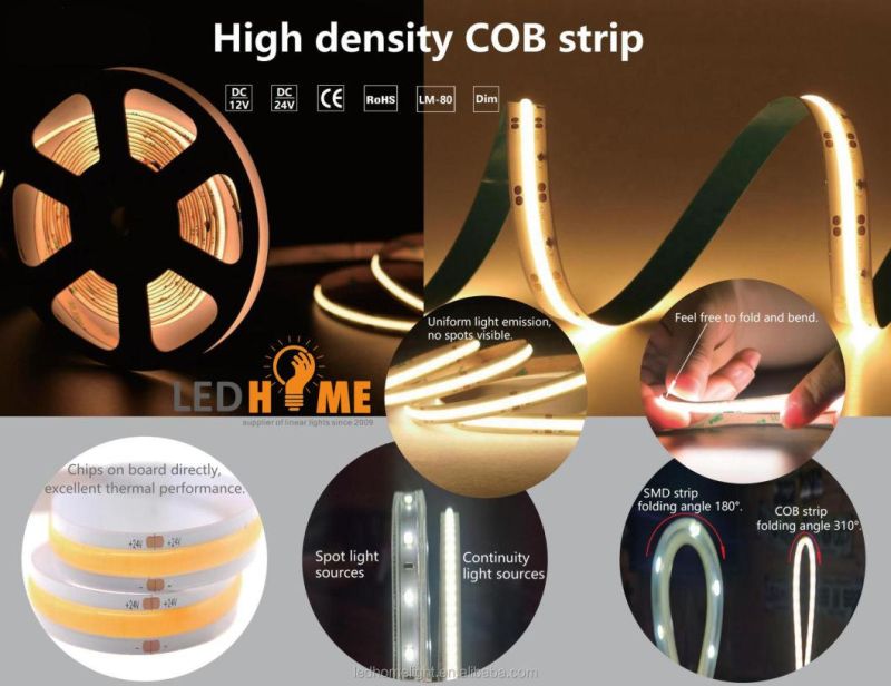 Hot Sale Remote Control LED AC220V No Light Point Living Room Decoration LED COB Light Strip