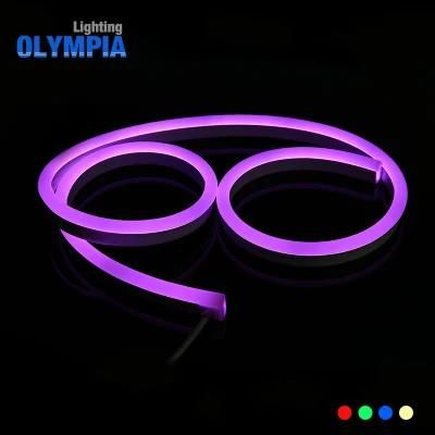 Mini RGB LED Neon Strip for Swimming Pool