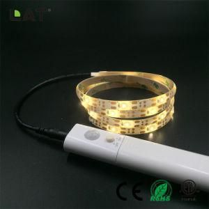 DC5V IP20 IP65 Ww Cw LED 2835 Flexible LED Strip/Tape Light Kit 3m with a Battery Box with Motion Sensor Ce/ETL/UL