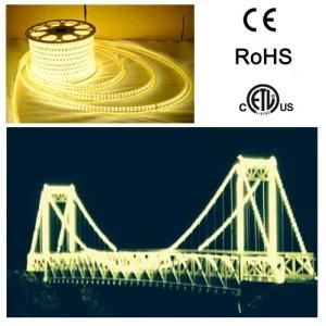 Shenzhen Supplier High Quality LED Strip 5630 5050 3528