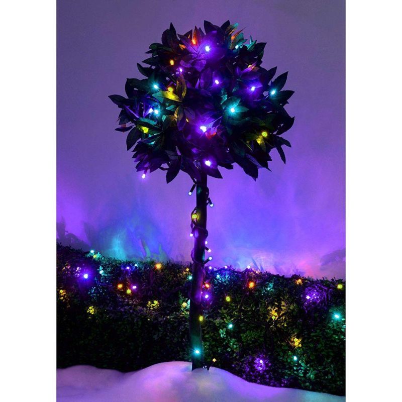 Warm White LED Rubber Fairy Decoration Light