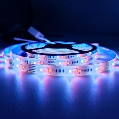 China Factory New Design RGB LED Strip with Latest Technology