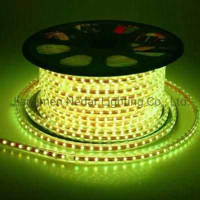 Hot Selling 5050-60p Flexible Cuttable RGB Rope Light 110V/127V/220V/230V/240V Lighting Cinta LED, Fita LED, Tira LED