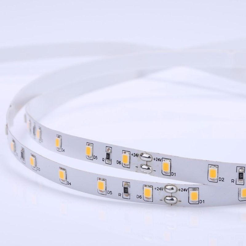 Waterproof IP68 COB Flexible Rope Light 12V 24V COB LED Strip with CE Certificate