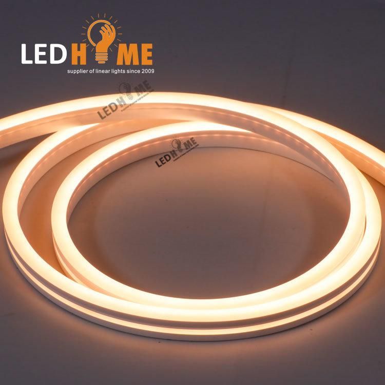 Mini Size LED Neon Lighting with 2216 SMD Strip