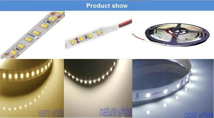 12V SMD 2835 LED Strip 5m Flex LED Strip