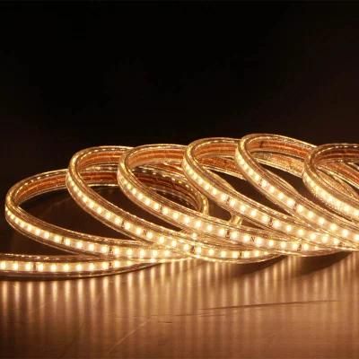 LED Rope Light LED Strip Light LED Ribbon for Outdoor Using Tree Decoration Garden Lights Outline Decoration